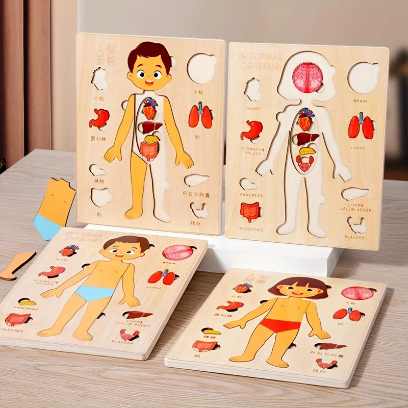 Human Body Puzzles for Kids Wooden Montessori Anatomy Puzzle Play Set Human Body Model Educational Game for Preschoolers