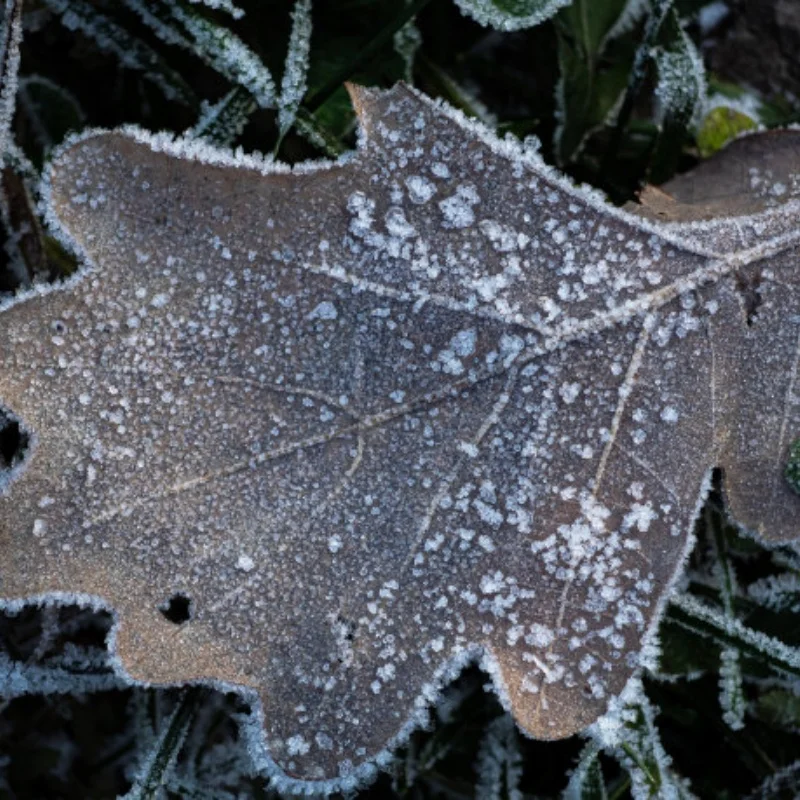 

313mm RC Car Frame Wheelbase Chassis Frame With Tries for 1/10 AXIAL SCX10 II 90046 90047 RC Crawler Climbing Car DIY