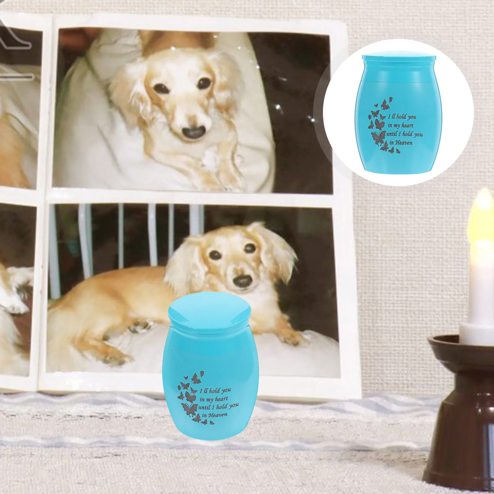 

Stainless Steel Pet Bone Ashes Urn Small Keepsake Urn for Ash Storage Reliable Memorial Gift Small Urns for Human Ashes