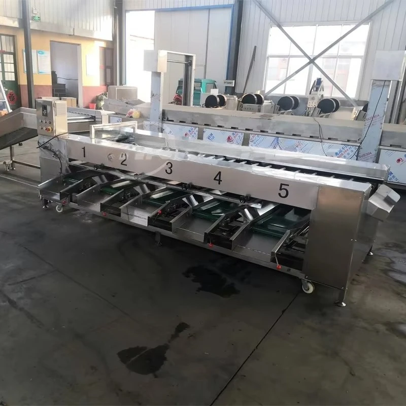 Motorized Fruit Vegetable Grading Sorting Machine Onion Potato Date Processing Customized