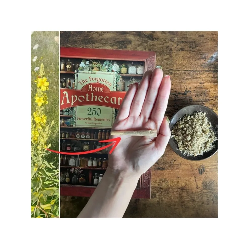 

Original Forgotten Home Apothecary Book 250 Powerful Remedies At Your Fingertip Natural Remedies Doctor Book