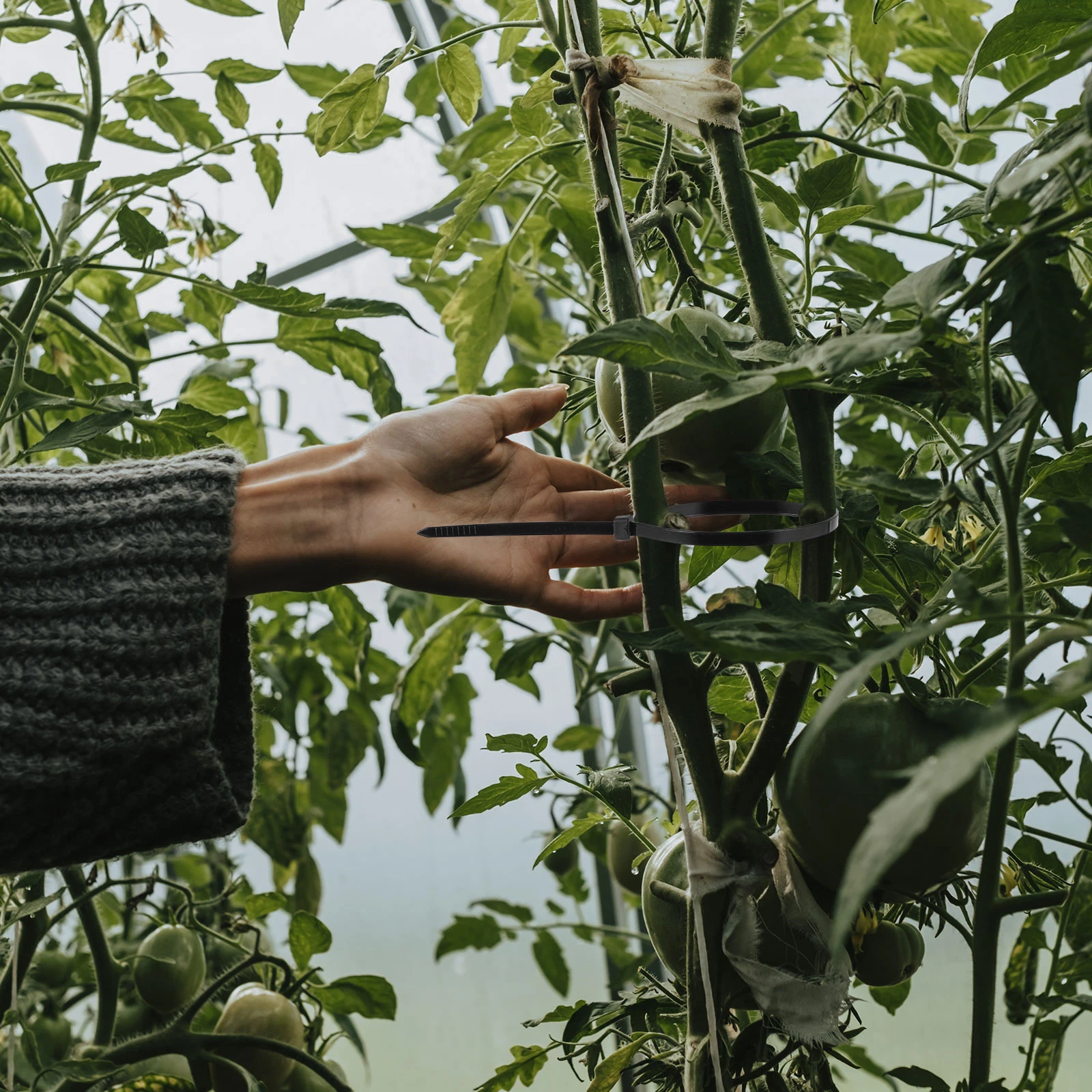 

100pcs Cable Ties Durable Nylon PA66 Buckle Tie for Cords Wires Indoor Outdoor Use Wire ganizer Fasteners