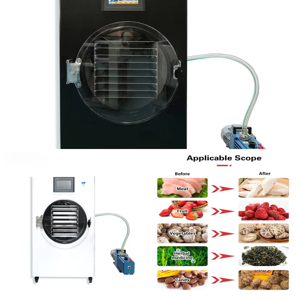 

Commercial Professional Home Use Small Scale Lyophilizer Machine Fruit Vegetable Candy Vacuum Freeze Dryer