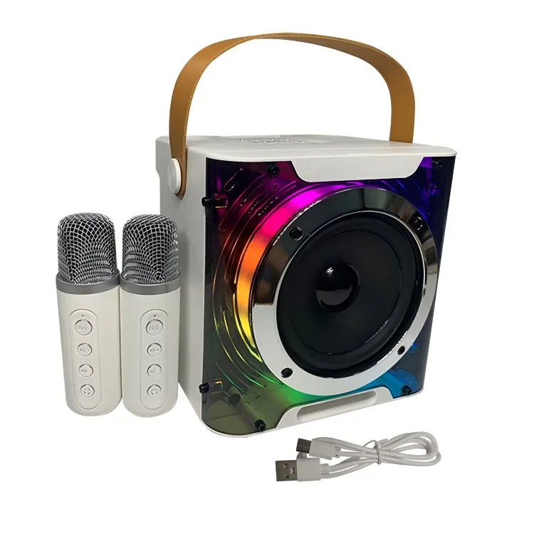 Karaoke Machine with 2 Wireless Microphones BT Microphone and Speaker KTV Set with RGB Light Effects Handheld Mic Lightweight Po