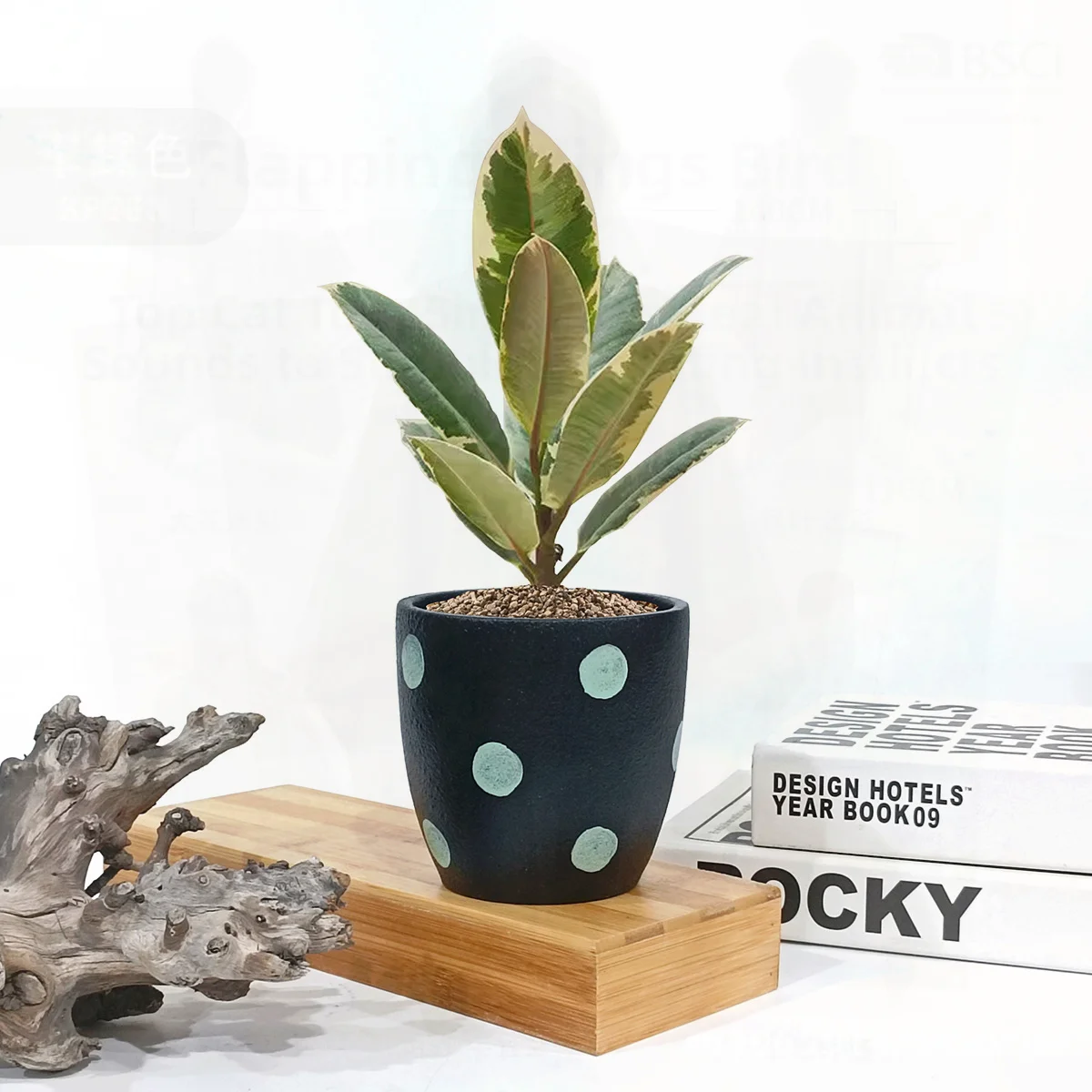 

Nordic Ins Polka Dot Geometric Black Flower Pot Cute Small Cactus Potted Plant Modern Breathable Desktop Home Decor Ceramic
