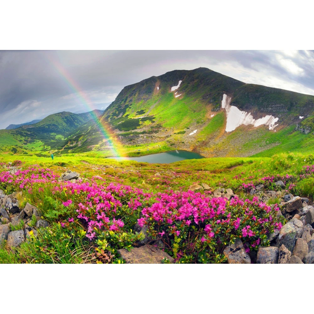 الربيع طبيعة مشهد المناظر الطبيعية الخلفيات الجبل زهرة شجرة الغابات غرفة ديكور التصوير خلفية الصورة تبادل لاطلاق النار التصوير الفوتوغرافي