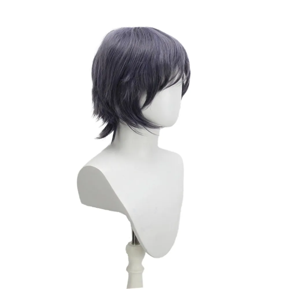 Perruque de cosplay FFXV Noctis - Perruque synthétique de cheveux d'anime Final Fantasy 15 Prince bleu gris