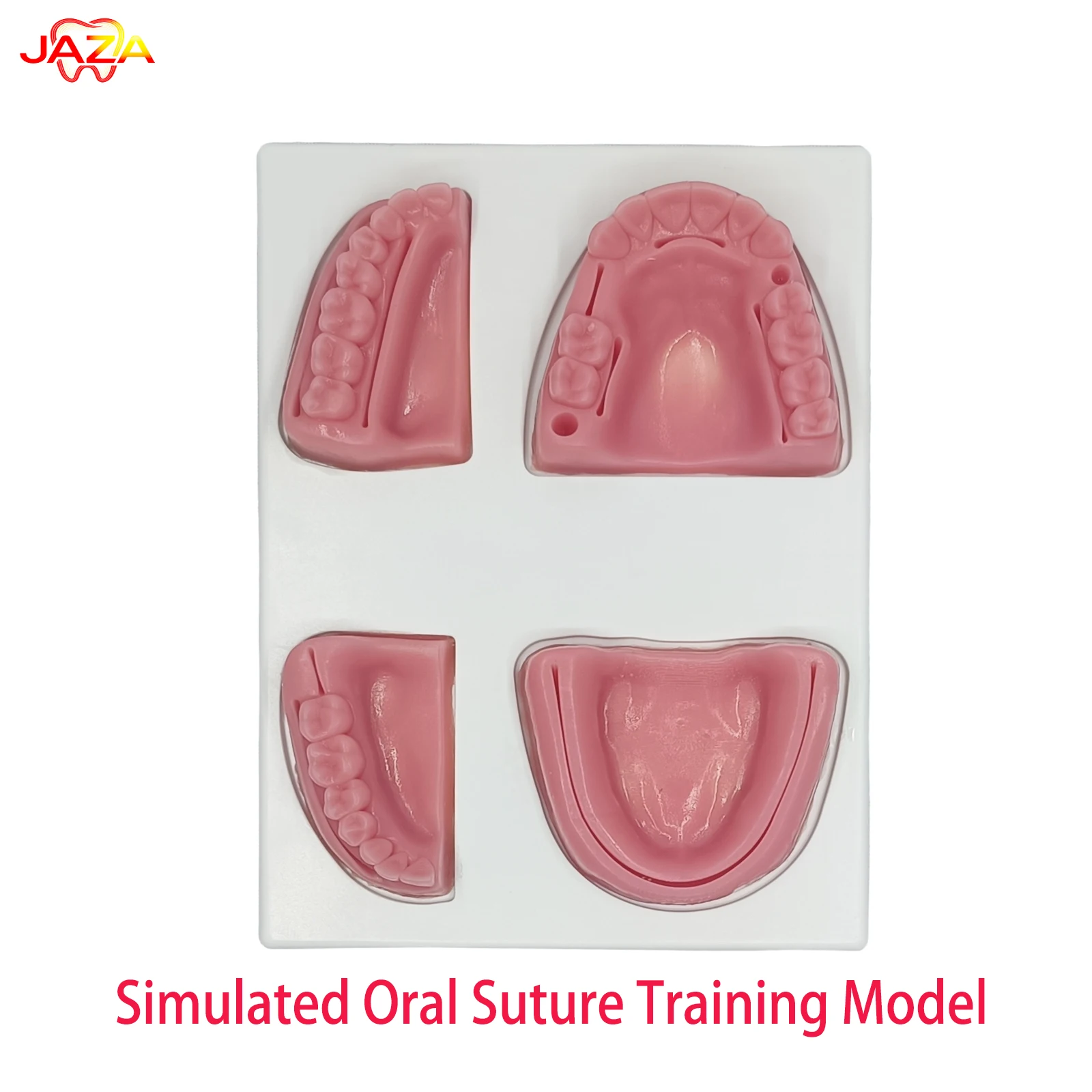 Simulated Oral Suture Training Model|Dental Gingival Suture Practice Pad with Pre-Cut Incisions|Clinicians&Lab Training