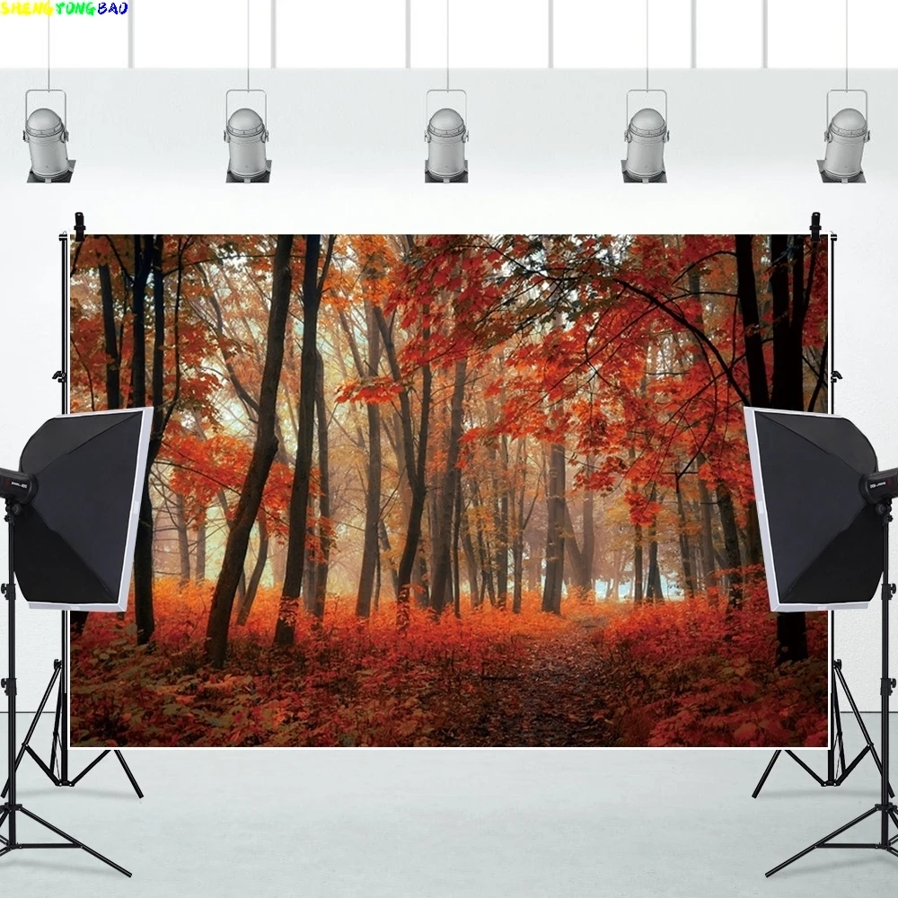 Maple Grove Trees Theme Background For Photography Autumn Landscape Backdrop Cloth Photography Accessories Interior Decoration