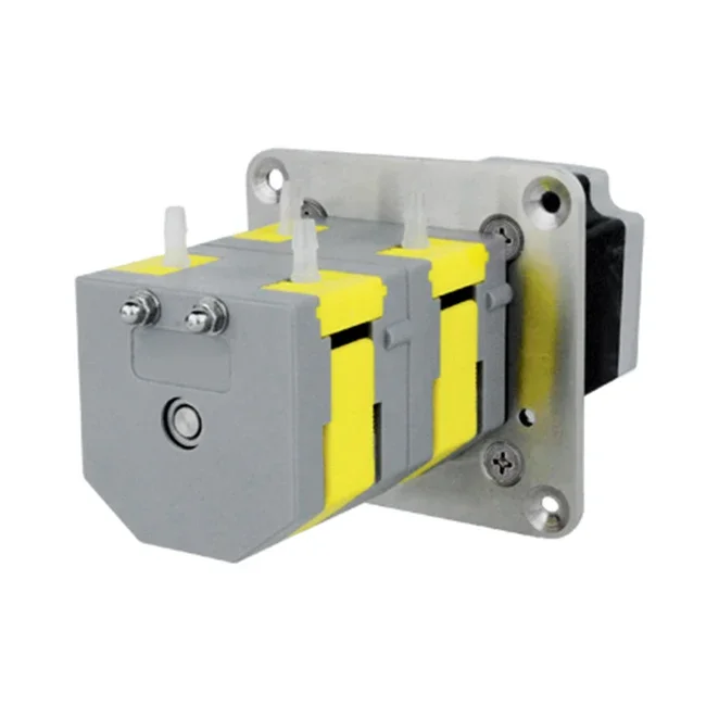 Low Flow Rate Dual Channel Small Liquid Transfer Pump Dosing Mini Peristaltic Pump