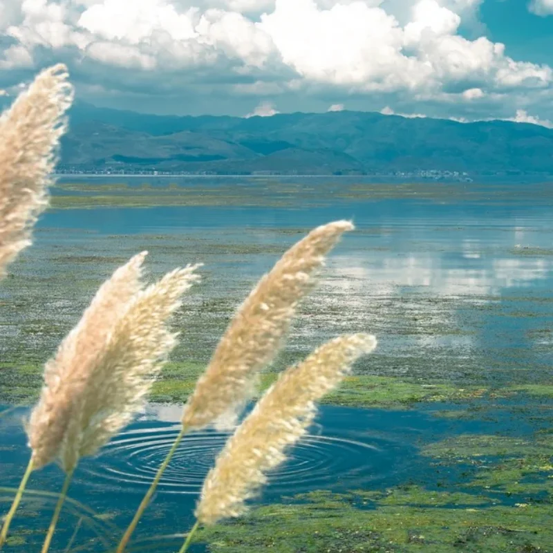 2 Stück Metall-Stoßdämpferhalterungen hinten Shock Tower 8538 8538X für Trxs Unlimited Desert Racer UDR 1/7 RC Car Upgrade Teile Zubehör