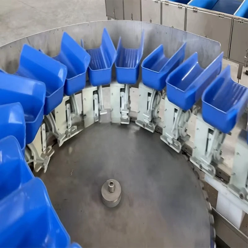 Stainless Steel Frame Checkweigher for Fruit & Vegetable Sorting Grading Machine Nuts Processing High Efficiency Eco-Friendly