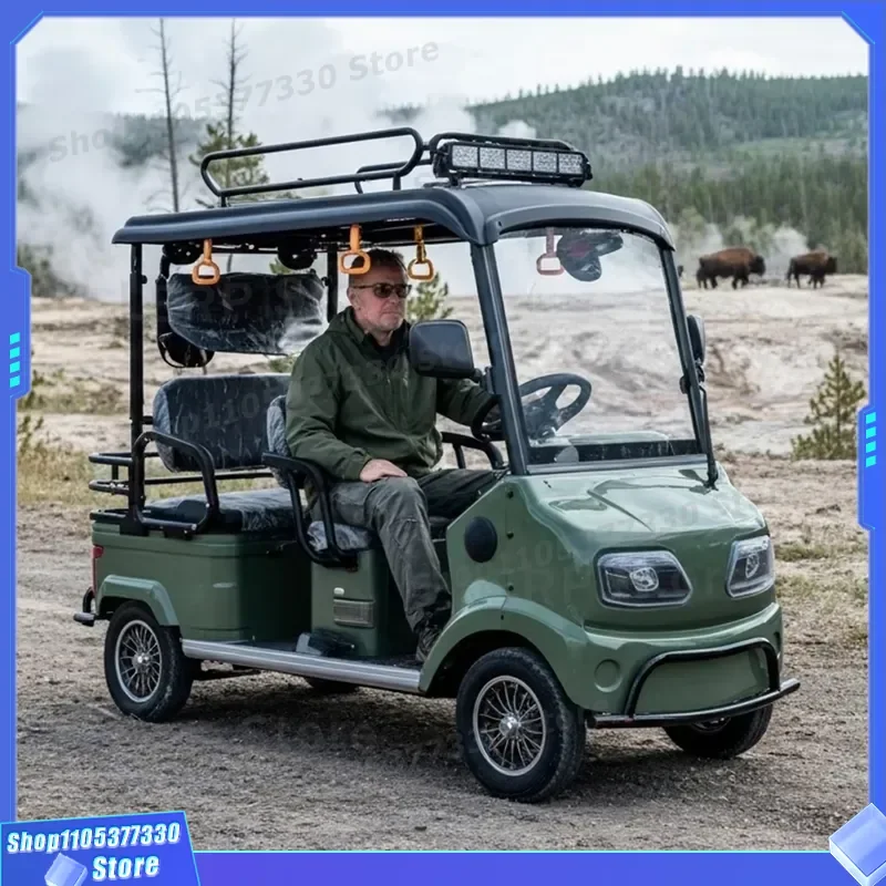 HLD 2000W 60V Electric Golf Cart 4 Seat Open Four Wheeler With Roof For Outdoor Sightseeing Powerful Battery Powered Vehicle