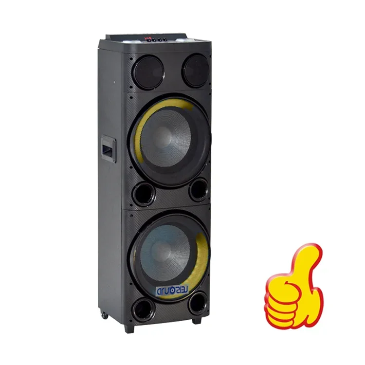 12 inch professional amplifier audio PA pair speaker with blue tooth function , fm radio , wireless microphone