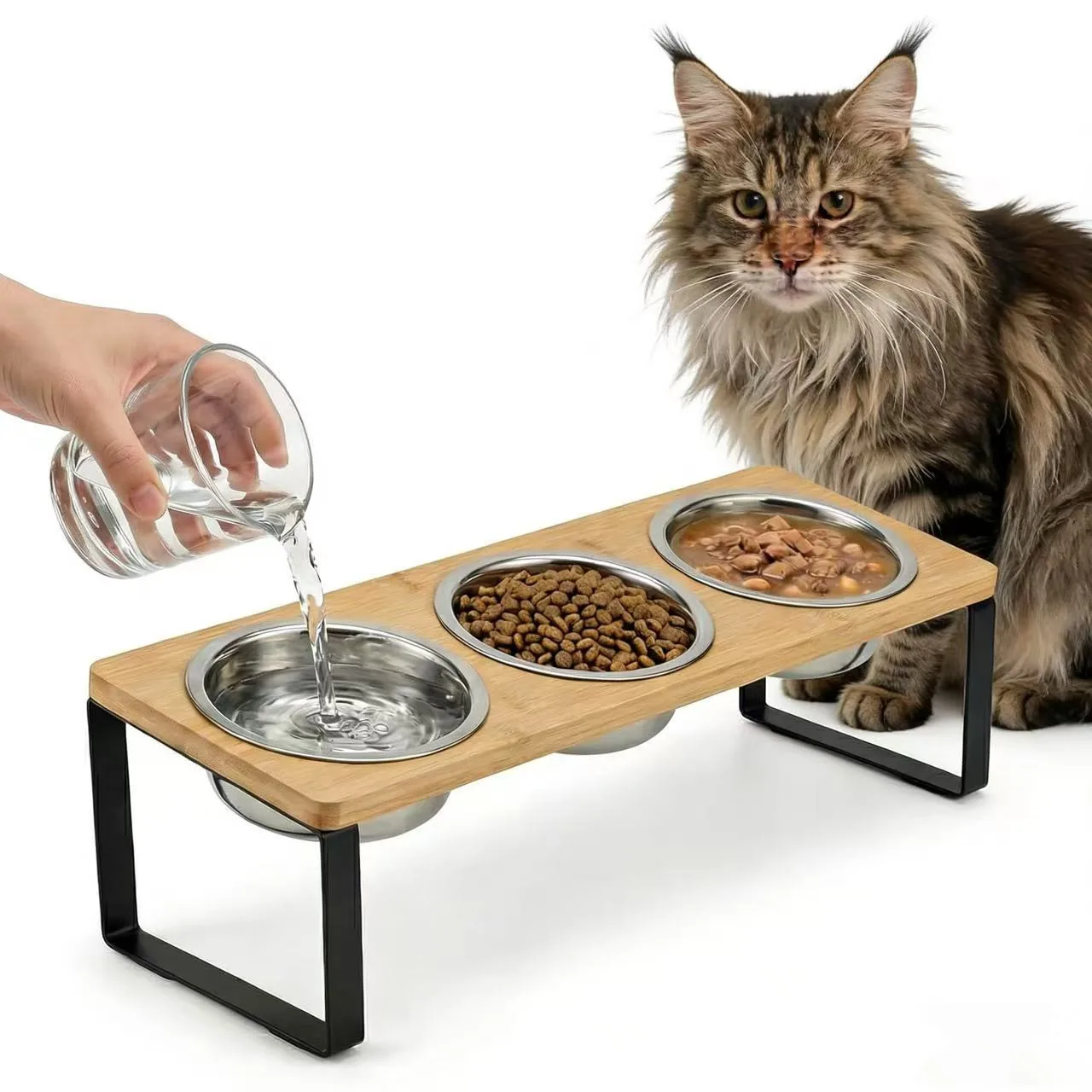Bol surélevé pour chat, 15 °   Support de gamelle incliné pour chat avec 3 bols en acier inoxydable pour chats d'intérieur et animaux de compagnie, bols pour nourriture et eau