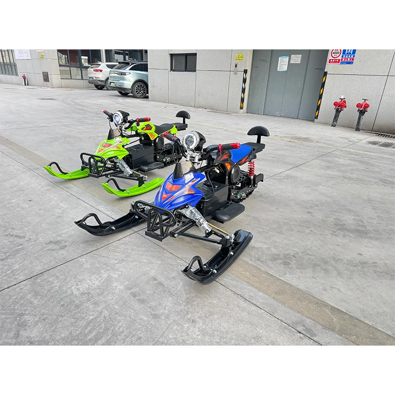Factory Price 48v 20A Electric Snowmobile Winter Sports Adult Snowmobile High-quality Two-seater Snowmobile Racing