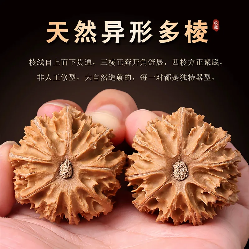 Wenwan walnuts, Warring States period, non-spliced, triangular and quadrangular, Shaanxi lantern, auspicious design symbolizing