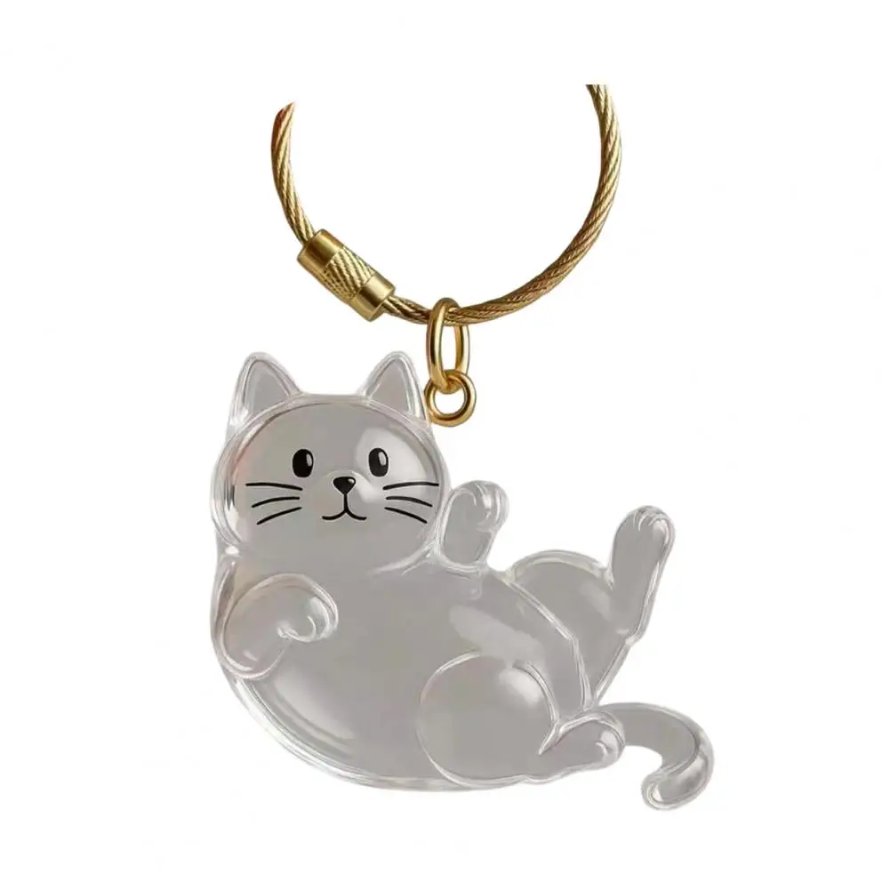 Pet Hair Keychain Portable Pet Hair Keepsake Transparent Cat Design Keychain Pendant Pet Hair Storage Box Storage for Stylish