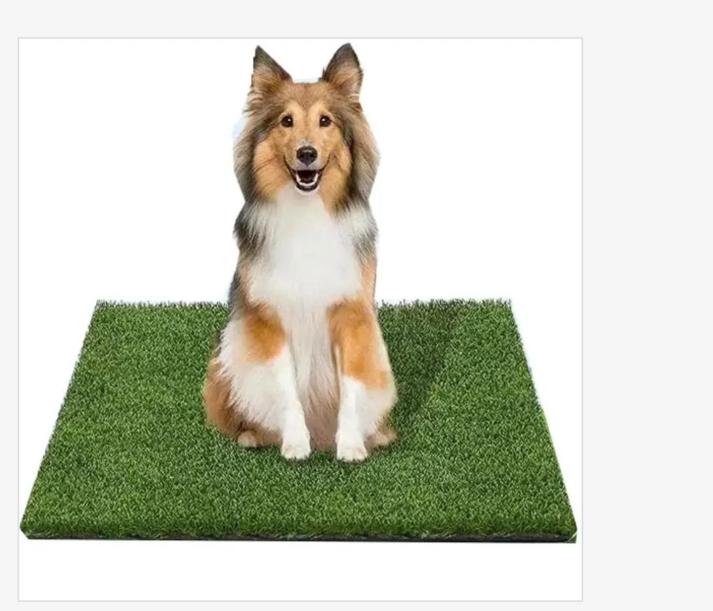 30X30Cm Realistic G… - image