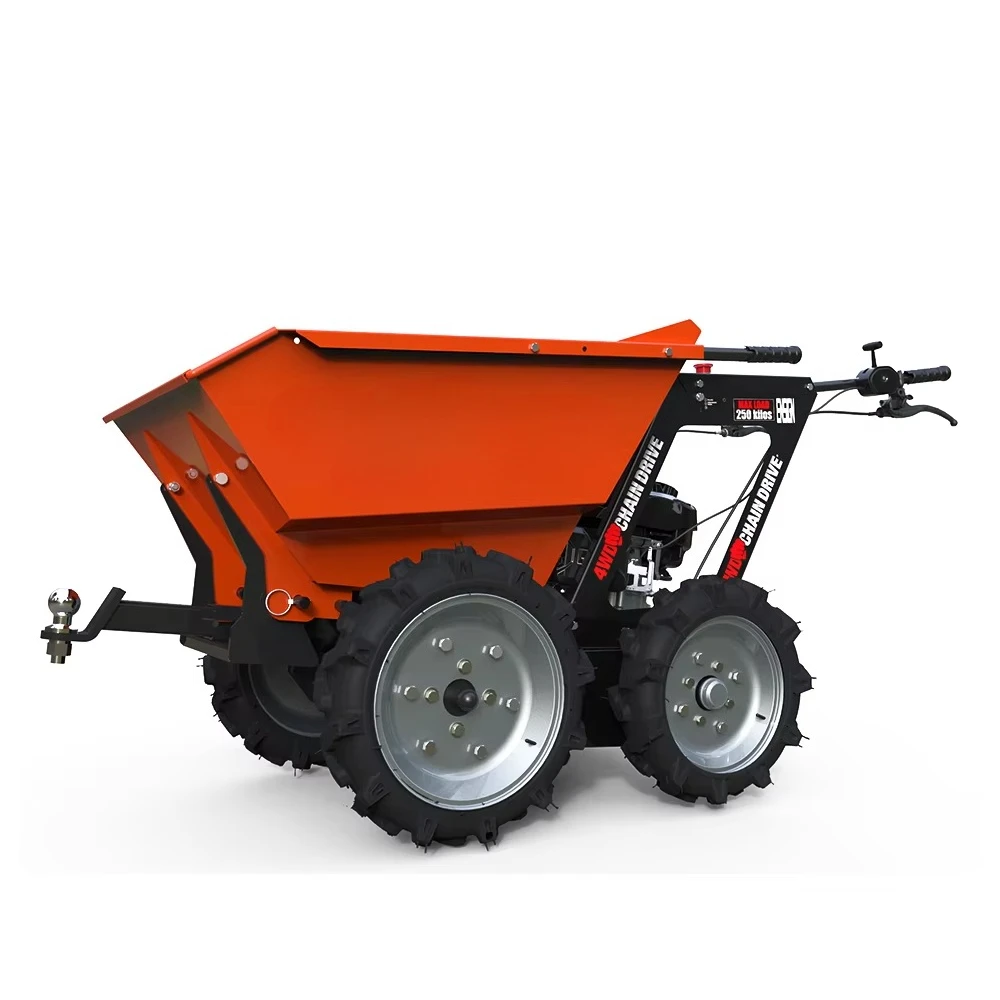 Customized 250Kg Load 4WD Truck 4x4 Motor Motor Power Mechanical Transmission Mini Dumper with Snow Shovel