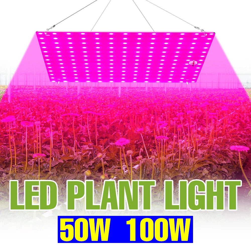 

100W LED Full Spectrum Grow Light Quantum Board Plant Cultivation Lamp Indoor Greenhouse Tent Fruit Seedings Vegs Fill Lighting