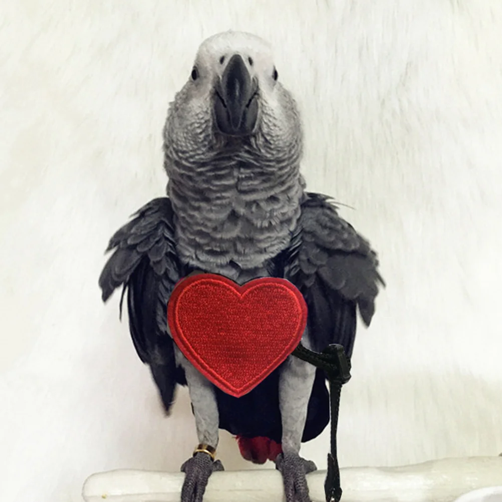 

Backharness Flying For Parrots Adjustable Cotton Pet Leash Bird Safety Harness No Knot Lobster Buckle Parrot Flying Rope