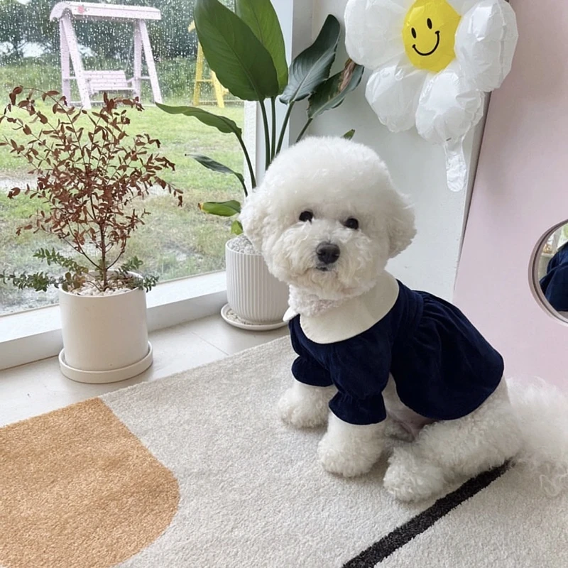 Pet Princess Skirt Teddy Solid Colour Clothes Bichon Winter Clothes Yorkshire Corduroy Pullover Maltese Warm Clothes