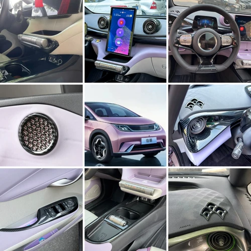 Imagen 2 del producto Cubierta embellecedora para volante de coche, accesorios interiores para BYD Dolphin ATTO1 2022 2023, aire acondicionado, puerta, reposabrazos, interruptor de ventana