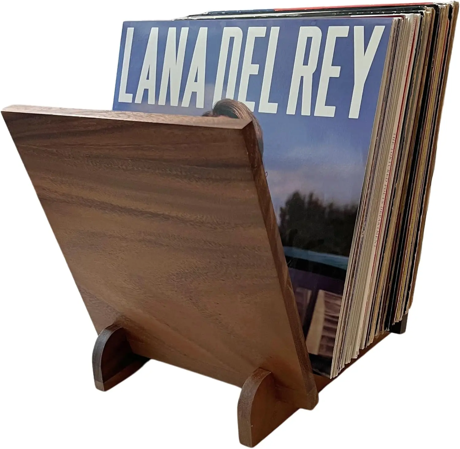 Vinyl Record Holder Shelf for Tabletop, Holds 25-40 LPs, Easy Assembly No Tools