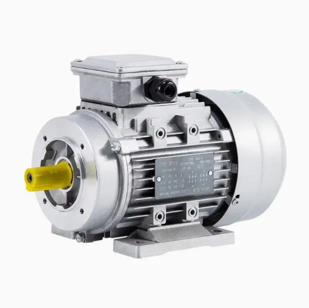 Three-Phase 380v60hz Motor 750W Shaft Diameter 19mm Customized