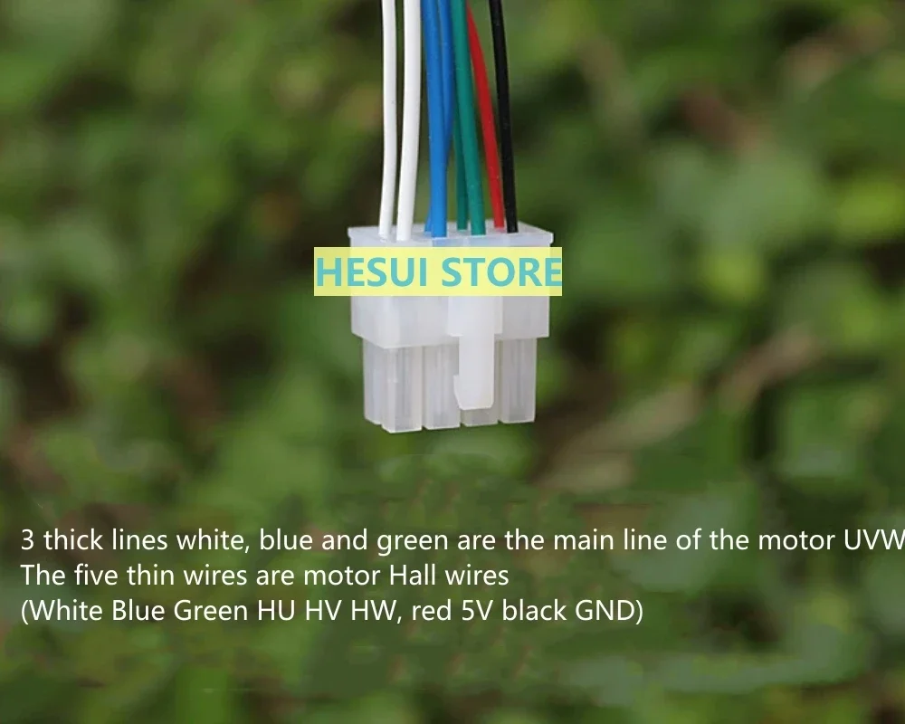 Motor de engrenagem planetária sem escova Motor DC lento de alto torque com Hall