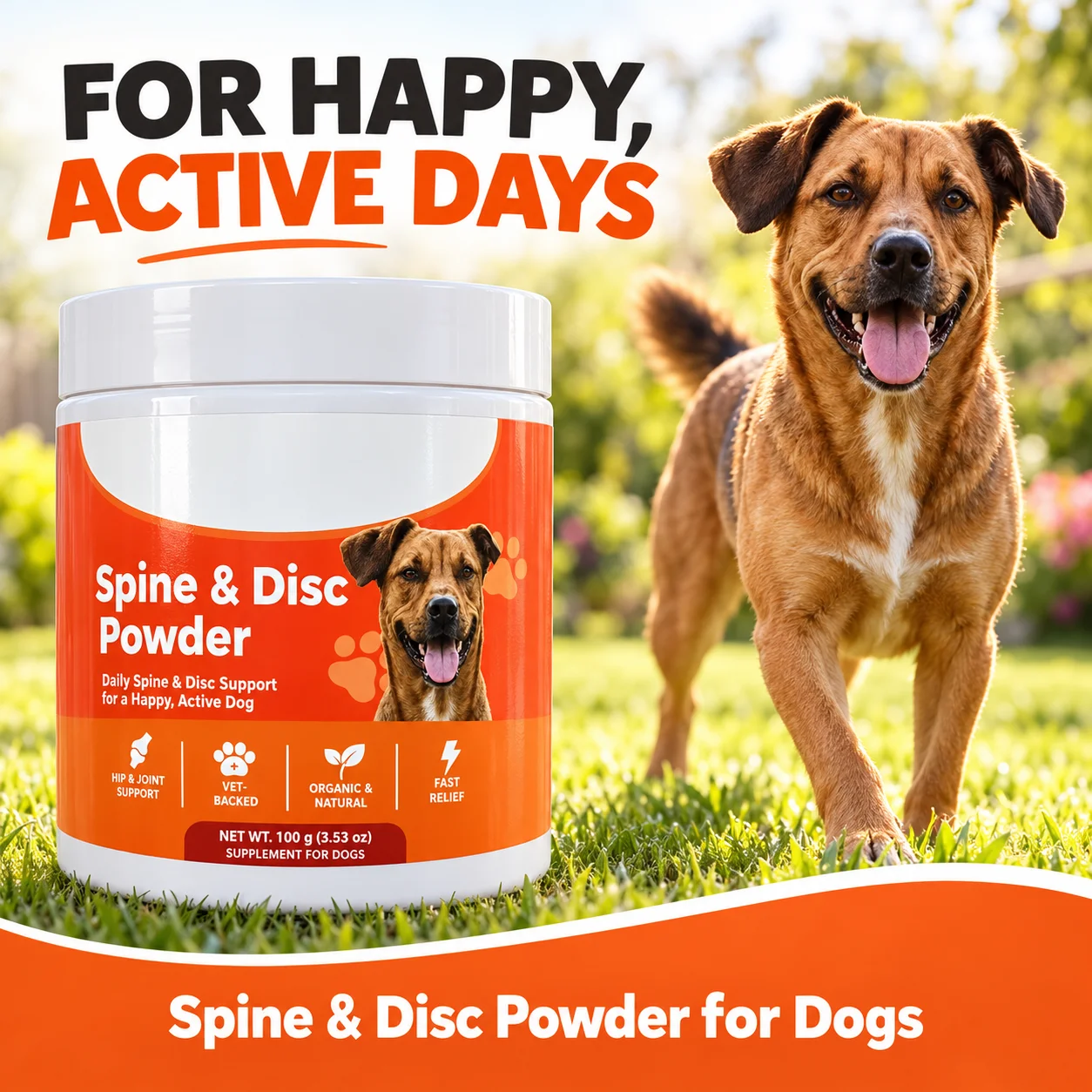 Dog Spine & Disc Support Powder 100g Hip & Joint Supplement for Dogs Daily Mobility Support for Active Pets and Nutritional Care