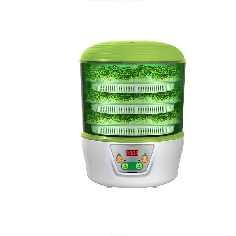 Mini Small Type Automatic Bean Sprout/Sprouting/Sprouter Machine