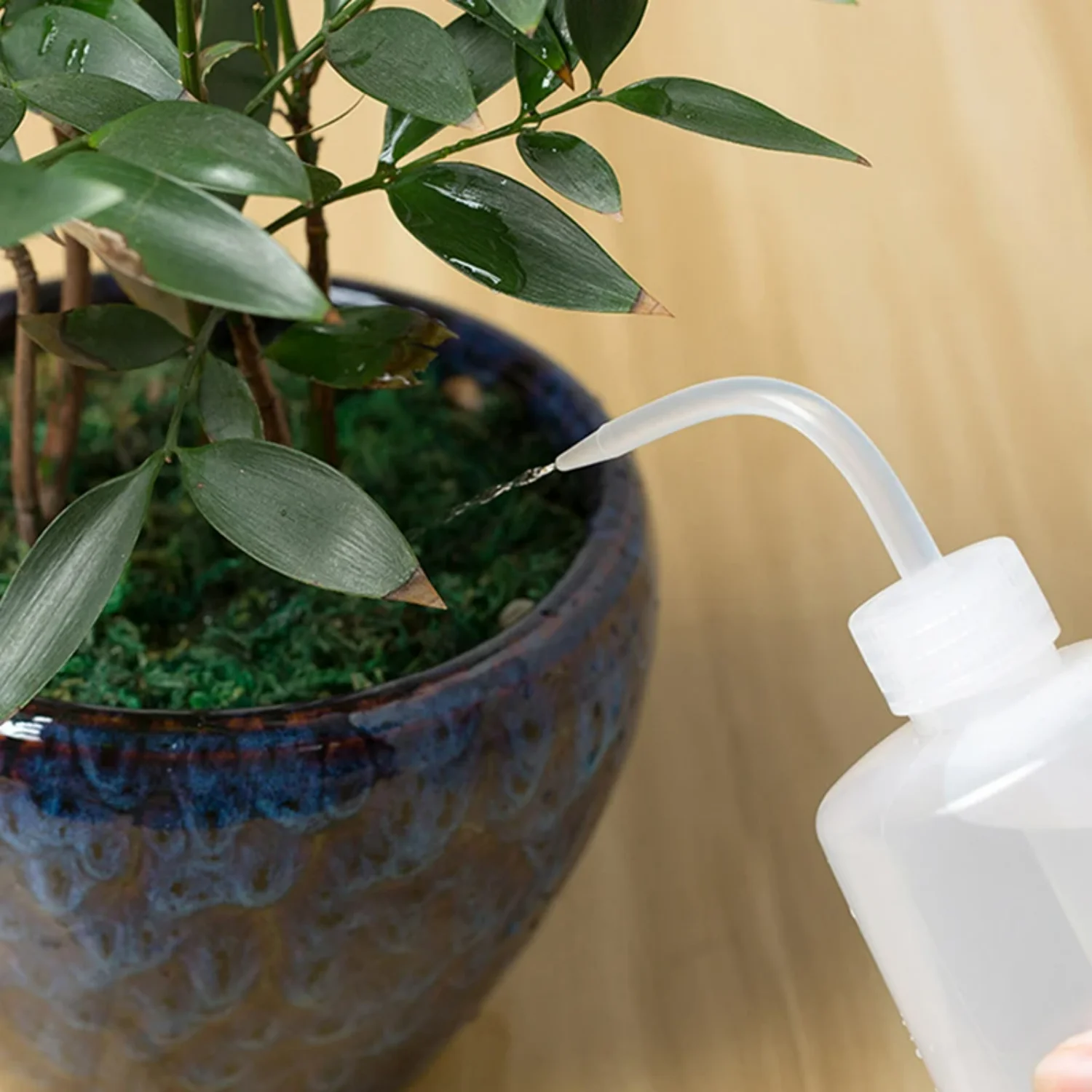 250/500/1000ml Plastic Squeeze Bottle Kettle Watering Can  Flowers Succulents Kitchen Irrigation Gardening Tools