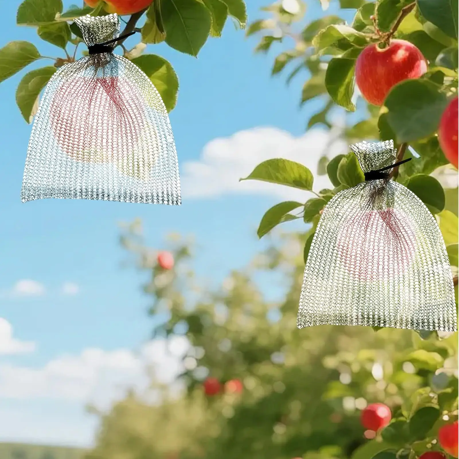 

Сумки для защиты растений, сетчатый барьер из нержавеющей стали для фруктов, защищенные от сухожилий корзины из нержавеющей проволоки для сада, двора, фермы, помидоров