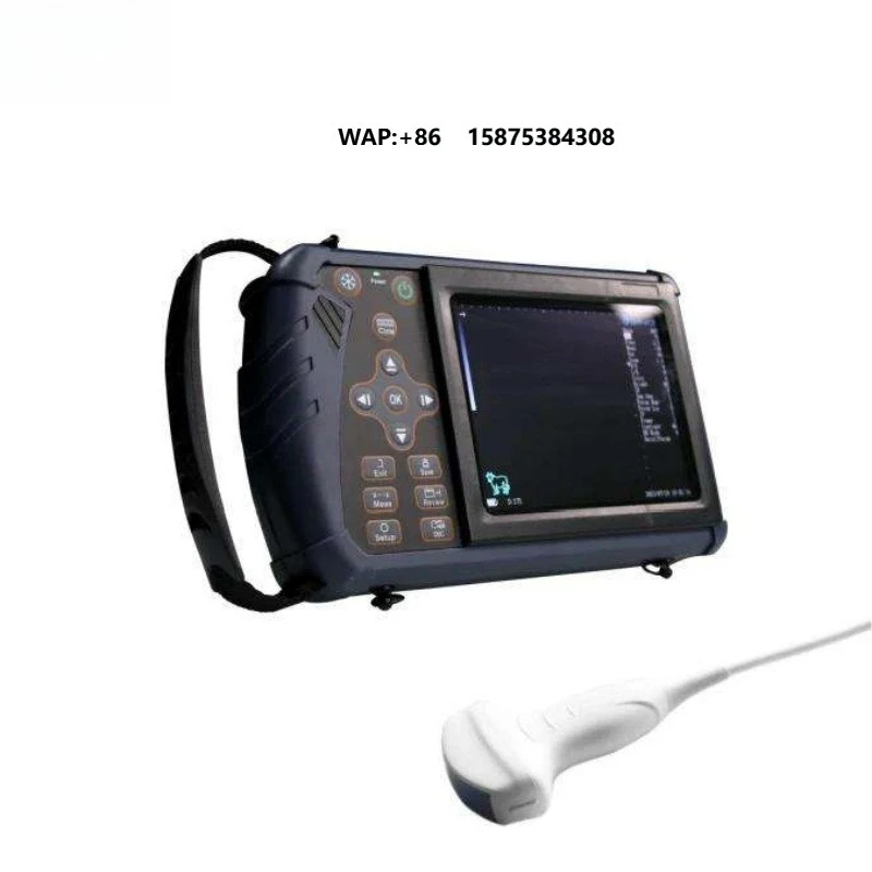 Stable, high veterinary ultrasound with 256 grey release rating for detection in cattle, pigs and sheep