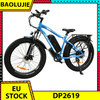 BAOLUJIE DP2619 Electric Bike 26*4.0 inch Fat Tire 750W Motor EBike 48V 13Ah Battery 45km/h Max Speed 45km Max Range LCD Display