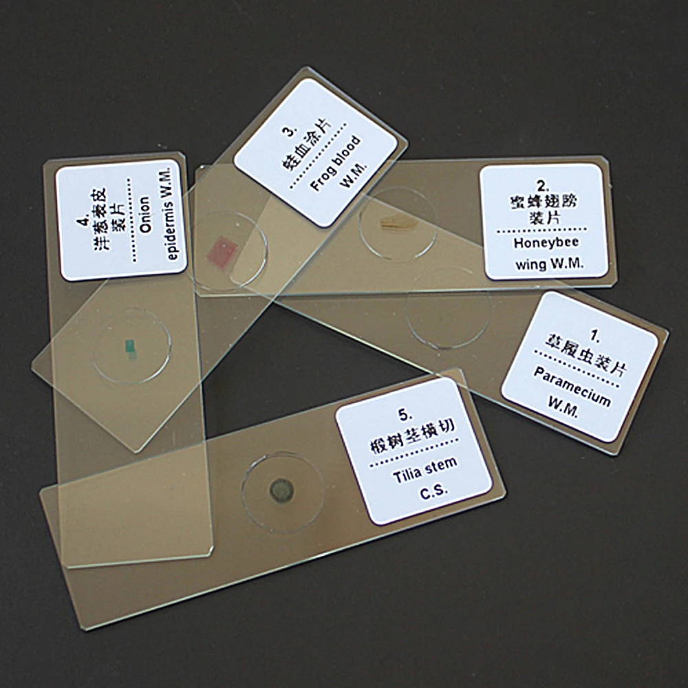 EYSDON 5-Piece High-Quality Biological Microscope Slides | Pre-Sliced Specimens for Student Science Ed & Lab Exploration