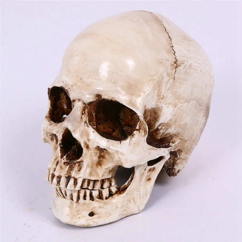 Skull Decor Prop Skeleton Head 1:1 Model Halloween Style Haunted House Party Home Decoration Festival Supplies