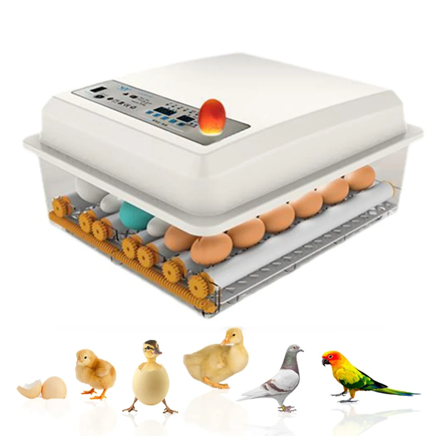 Eggs Incubator Brooder Bird Quail Chick Hatchery Incubator  16 Eggs 220V Poultry Hatcher Turner Automatic Farm Incubation Tools