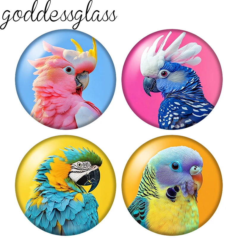 Colorful Cute parrot Birds macaw Love 12mm/18mm/20mm/25mm Round photo glass cabochon flat back Making findings Jewelry