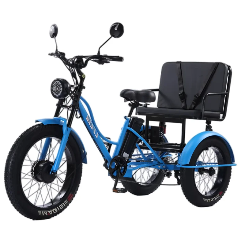 1945 schwinn bicycle 1945 BFG DX | All Things Schwinn