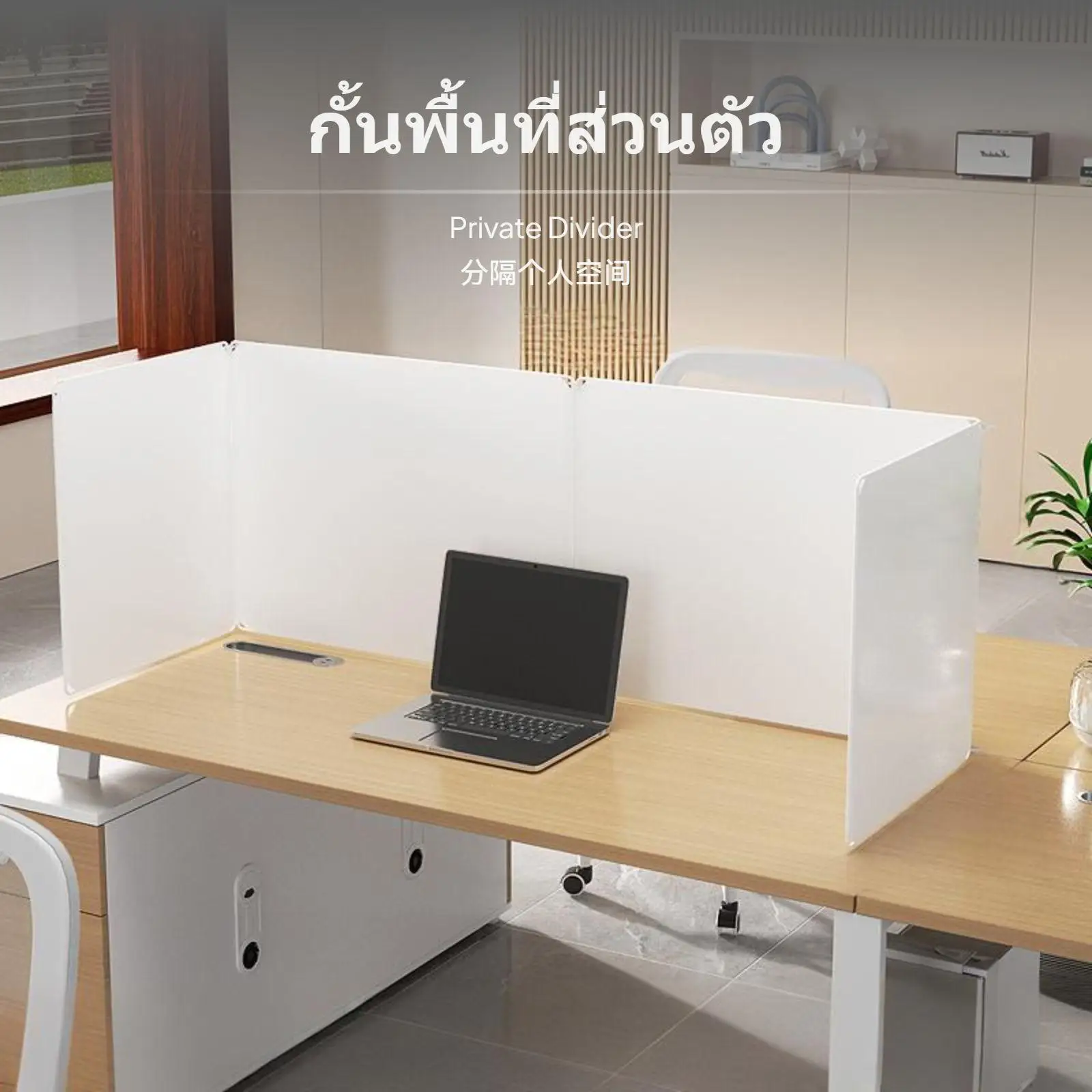 Desk Partition Desktop Privacy Divider Lightweight Polypropylene Barrier for Meetings Libraries Study