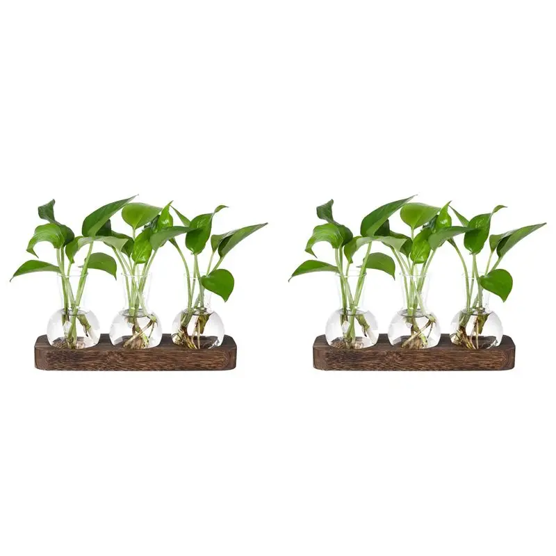 ABMS-2X Plants Propagation Stations Glass Vase Station Retro Plant Terrarium With Wooden Tray Bulb Flower Vase