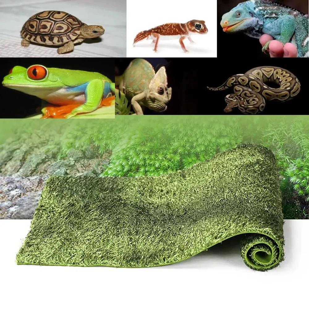 Reptile Box Carpet Tortoise Box Bottom Mat Reptile Pet Landscaping Mat Breeding Box Moss Bottom Mat Soft and Moisturizing