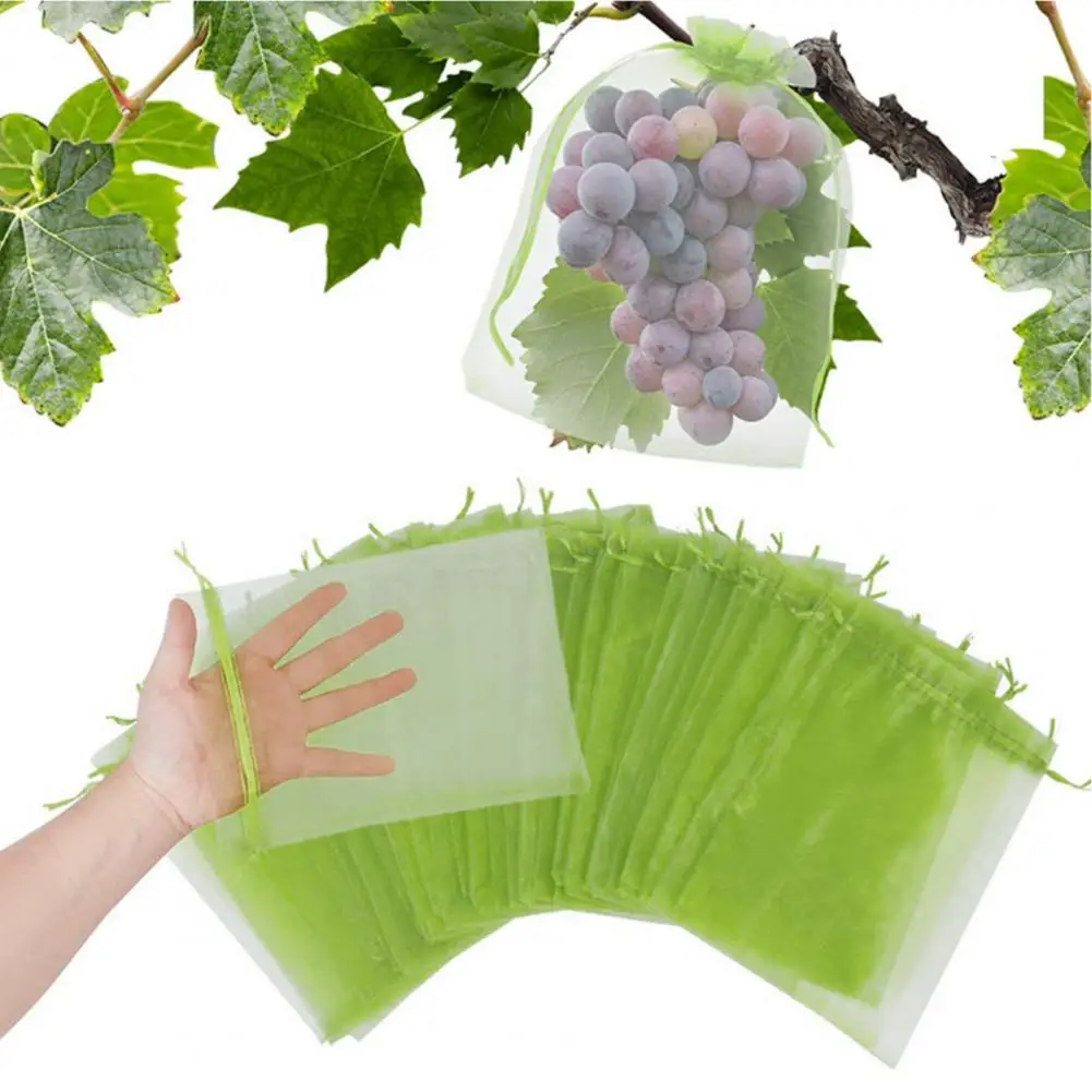 

Bird Deterrent Fruit Nets Breathable Drawstring Mesh Bags for Fruit Protection 100pcs Strawberry Blueberry Netting Covers Widely