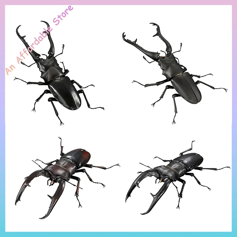 在庫あり オリジナル バンダイ アクションフィギュア 生物百科事典 カブトムシ カマキリ カブトムシ コーナーショベル 昆虫 動物モデル