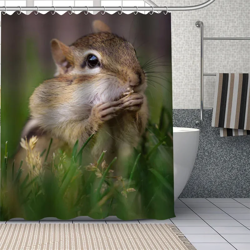 

Занавеска для ванной с милым рисунком белки, водонепроницаемая, из полиэстеровой ткани, для душа, декор для ванной комнаты, с крючками