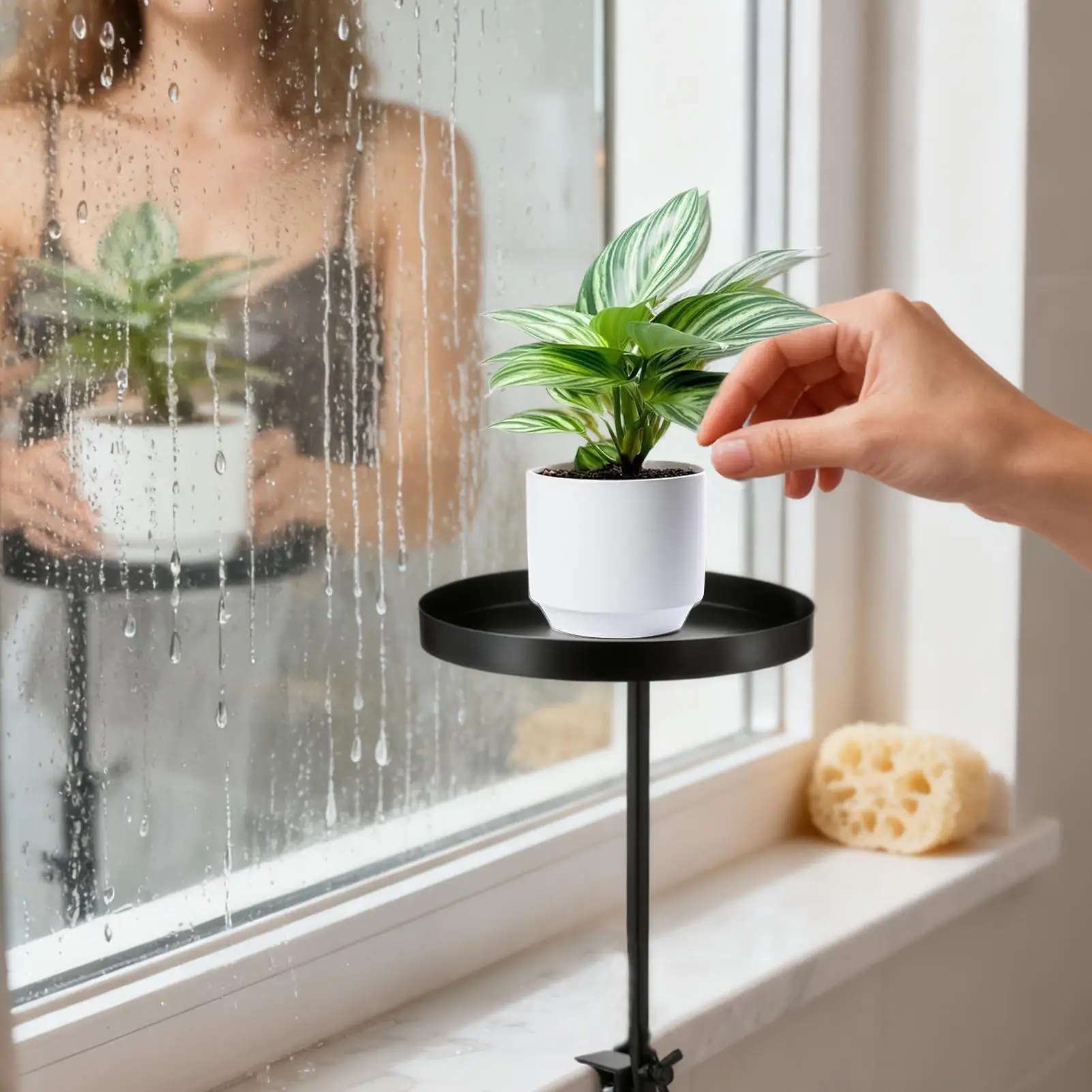 Floating Plant Shelves Floating Adjustable Metal Holder Window Plant Holder Wall Mounted Shelf For Propagation Hydroponics