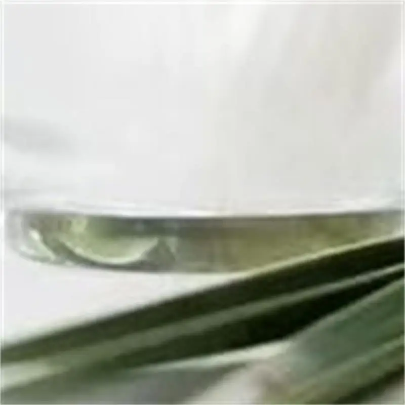 Jz Stainless Steel Electric Coconut Processing Machine Grater Coconut